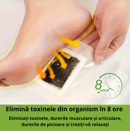 Plasturi pentru detoxifierea corpului (10 BUCATI)